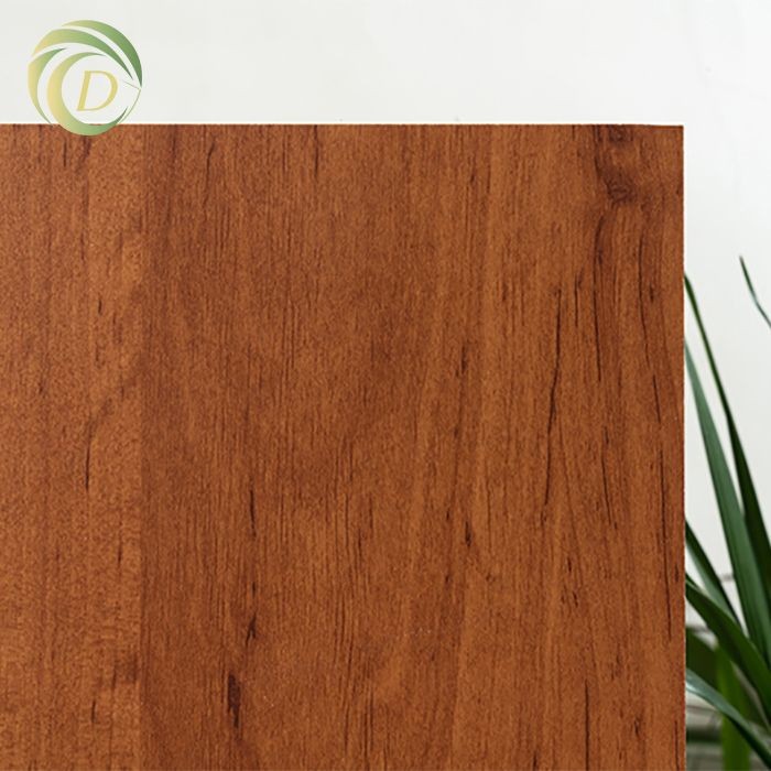 20211230-_XCC0484(001)